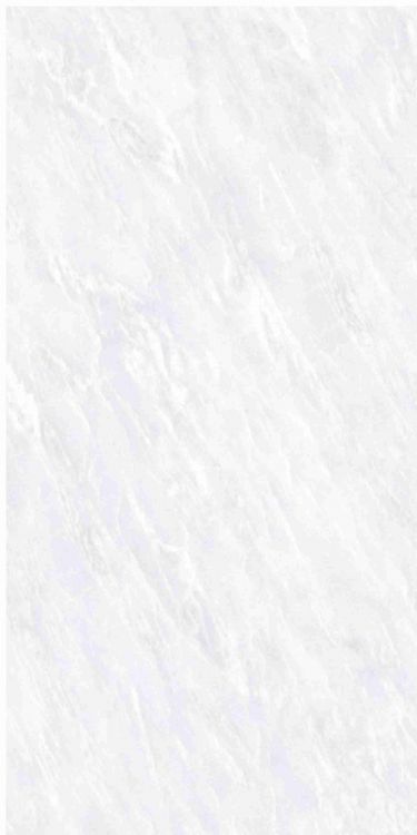 OL Vivid White Matte 12 x 24